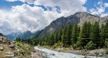 Green Valley doğa manzaralı nehrin fotoğrafı. Metnin için fotokopi alanı var.