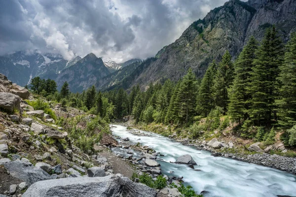 Taze su yolu manzaralı güzel yeşil valeri manzarası