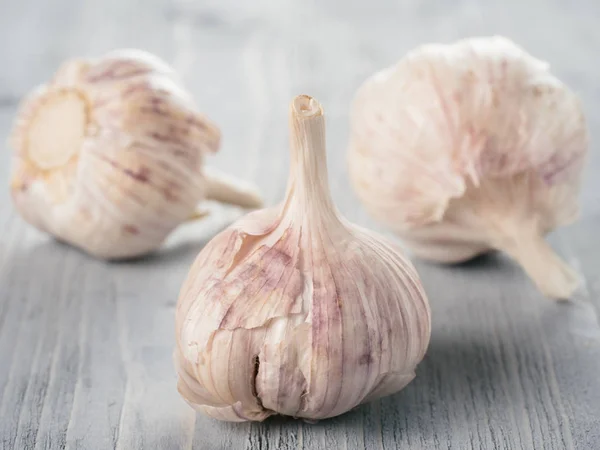 Three garlic bulb close up on grey wooden table. Garlic Bulb on gray wooden background.