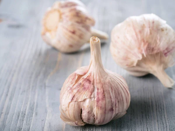Three garlic bulb close up on grey wooden table. Garlic Bulb on gray wooden background. Copy space.