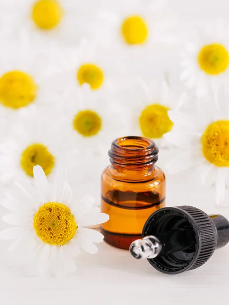 Essential oil in glass bottle with pipette and fresh chamomile flowers, beauty treatment. Spa concept. Fragrant oil of chamomile flowers on white wooden table. Vertical. Copy space.