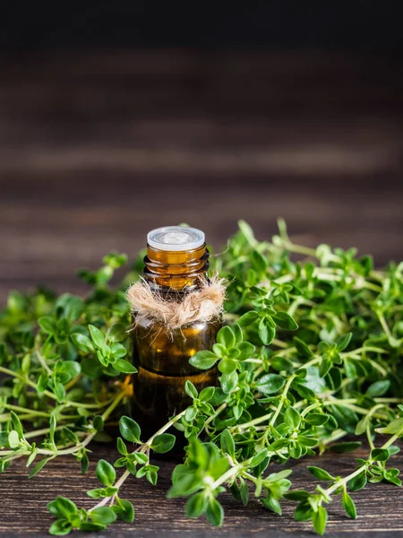 thyme essential oil in dark glass bottle and fresh thyme on dark brown wooden background with copy space
