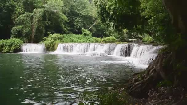 Belleza Cascada Humedad Los Árboles Temporada Lluvias — Vídeos de Stock