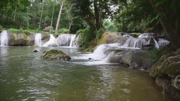 Bellezza Della Cascata Umidità Degli Alberi Nella Stagione Delle Piogge — Video Stock