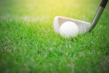 Golf topu golf sahası içinde yeşil çimenlerin üzerinde yakın çekim.