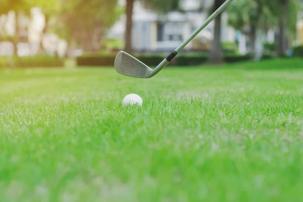Golf Topu Golf Sahası Içinde Yeşil Çimenlerin Üzerinde Yakın Çekim — Stok fotoğraf