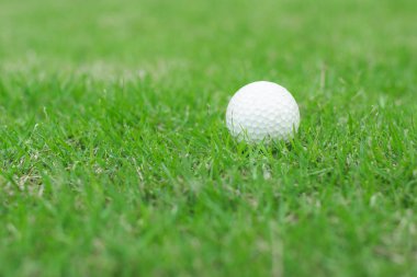 Golf topu golf sahası içinde yeşil çimenlerin üzerinde yakın çekim.