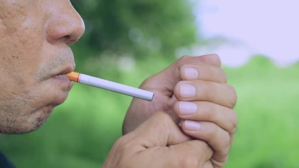 Los Hombres Asiáticos Están Pie Fumando Parque Cual Ilegal Algunos — Vídeos de Stock