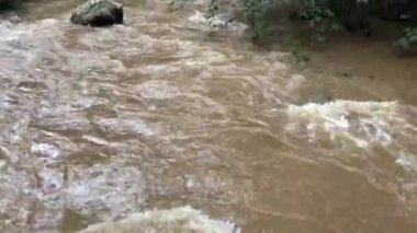 Tayland 'da yağmur mevsiminde yağan sağanak yağış nedeniyle şelaleler sarı renktedir ve dağlardan vahşi su akmasına neden olur..