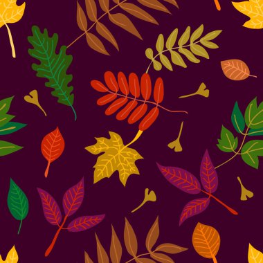 Sonbahar yaprakları dökülüyor..