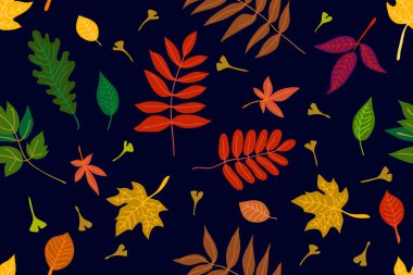 Kontrast arka plan üzerinde renkli yaprakları. 