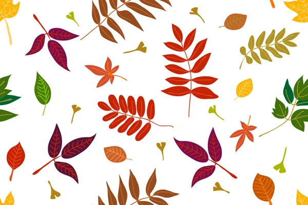 Colorful leaves on contrast background. — Stock Vector