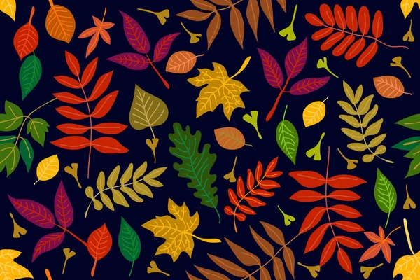 Colorful leaves on contrast background. — Stock Vector