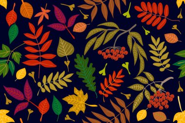 Renkli yaprakları ve rowan kontrast arka plan üzerinde.