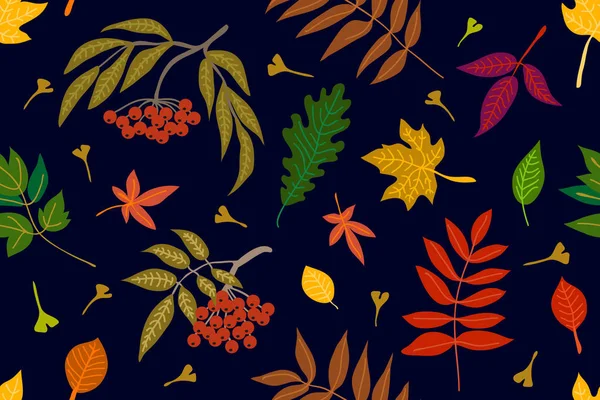 Folhas coloridas e rowan no fundo de contraste . — Vetor de Stock