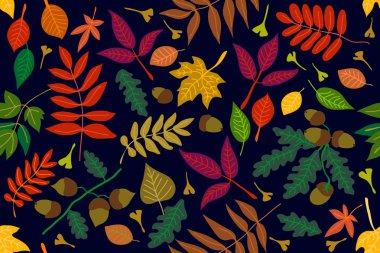 Renkli yaprakları ve meşe palamutları kontrast arka plan üzerinde.