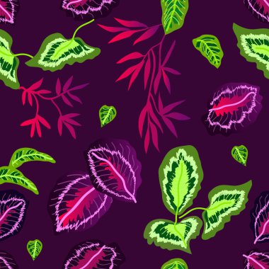 Tropik bitkiler ile sorunsuz Yazdır.