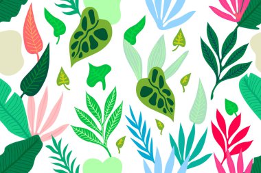 Renkli tropikal yağmur ormanları.