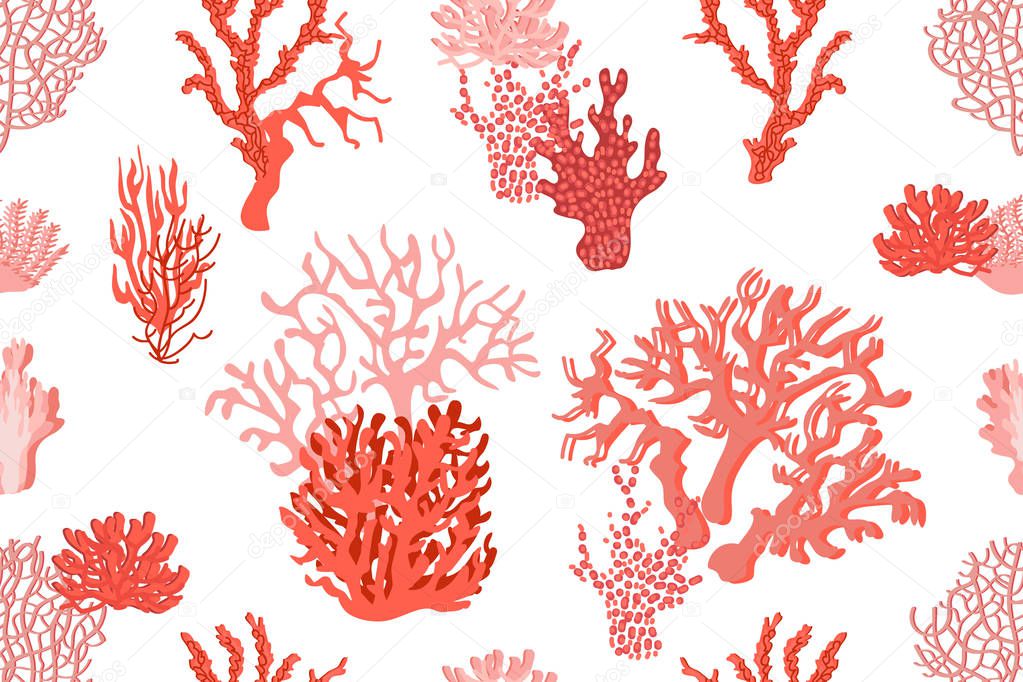 Living corals in the ocean. 