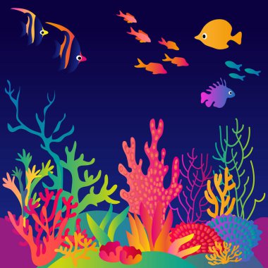 Tropikal resif hayatı.