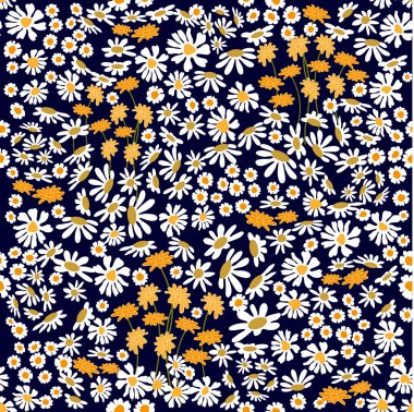 Papatyalar ve chamomiles alanları. 