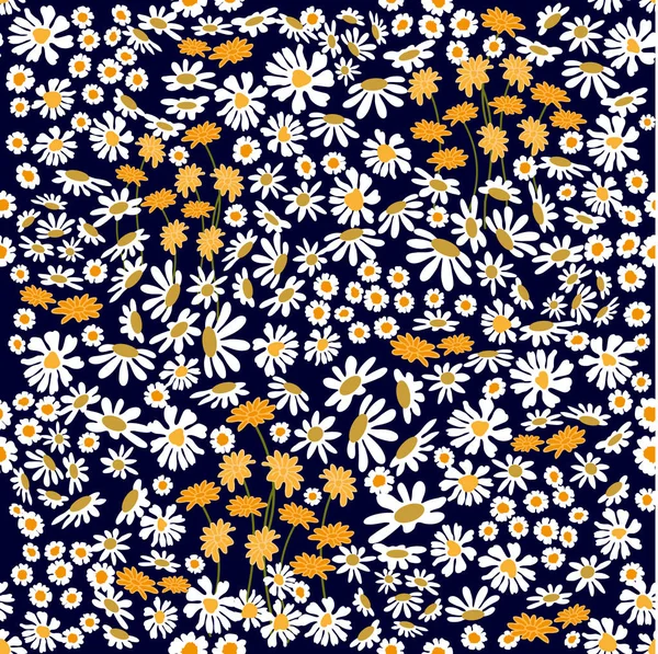 Papatyalar ve chamomiles alanları. 