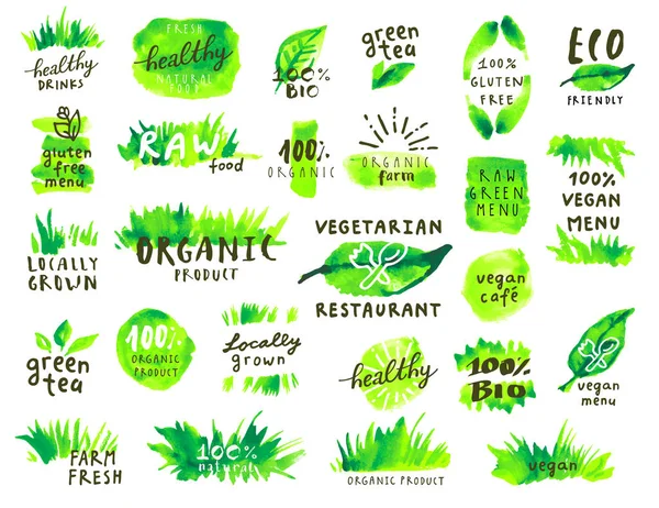 Set Etiquetas Alimentos Ecológicos Vector Alimentos Frescos Saludables Verde Respetuoso — Vector de stock
