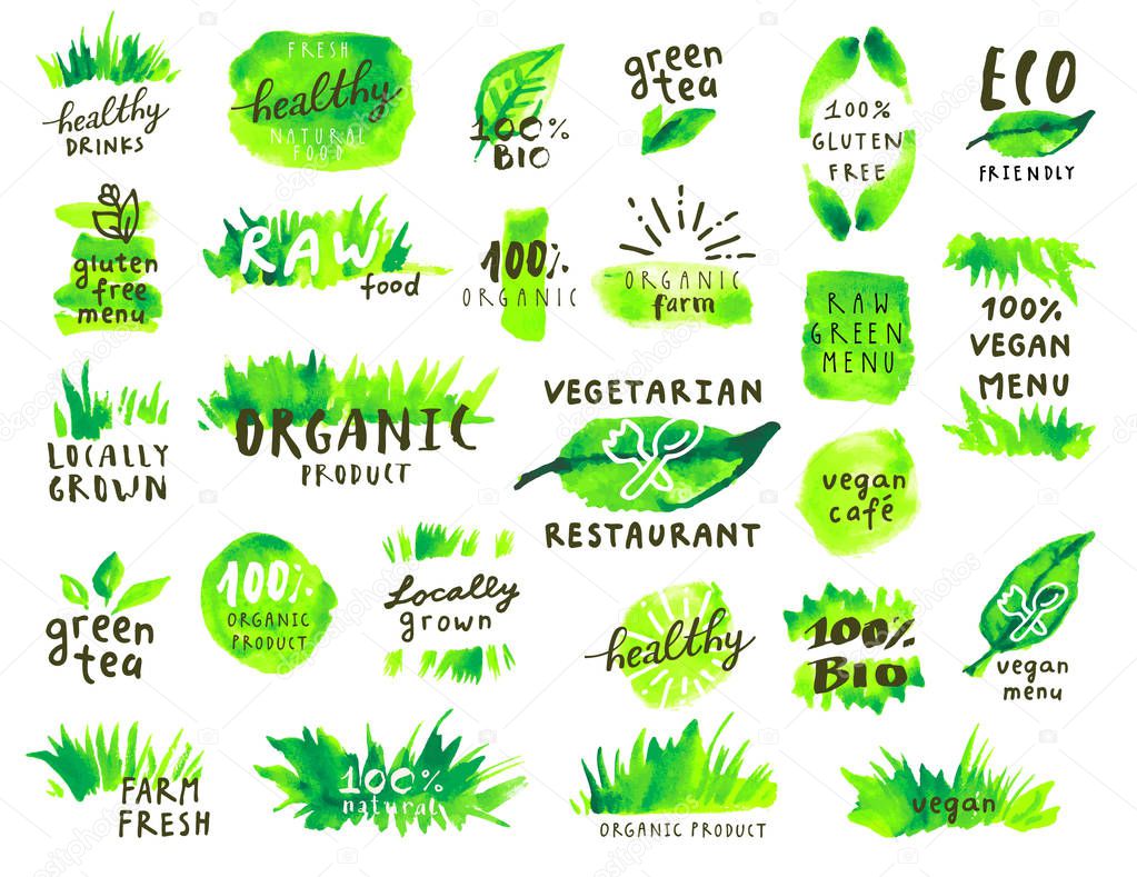 Organic food labels set. Vector fresh healthy food, green tea, eco friendly, natural product icons. Vintage watercolor hand drawn badges for vegetarian or vegan restaurant menu or organic food package