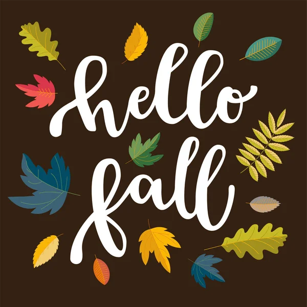 Bonjour, Fall. Conception de promotion d'automne. Main calligraphique moderne dr — Image vectorielle