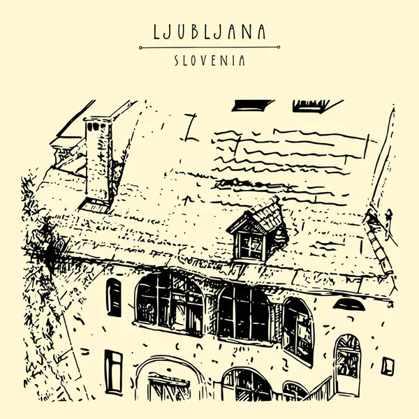 Ljubljana Slovenya Avrupa Eski Kasabada Bir Çatısı Olan Eski Güzel — Stok Vektör