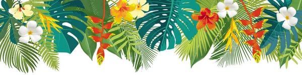 热带树叶和花朵交界处 夏季花卉装饰 水平夏季横幅 明亮的丛林背景 明亮的颜色 加勒比海滩派对的背景 矢量第10页植物图解 — 图库矢量图片