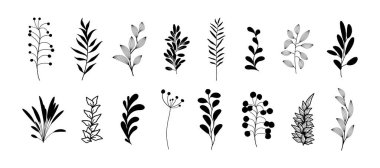 El çizimi yaprak ve bitki vektörü ayarlandı. Siyah ve beyaz dallar ve ağaç çizimleri. Çiçek eskiz elementleri, botanik yaprak siluetleri, organik sarmaşıklar, zeytin dalları ve eski orman sınırları.