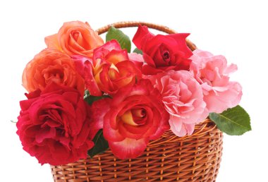 Beyaz bir arka plan üzerinde izole bir sepet içinde gül buketi.