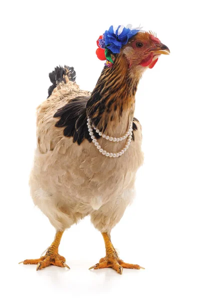 Chicken Necklace Isolated White Background — Stock Photo, Image