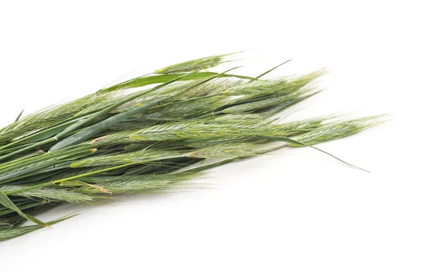 Spikes Wheat Isolated White Background — Stock Photo, Image