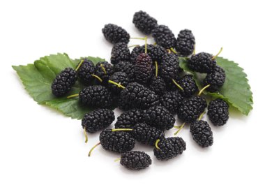 Dut ve beyaz arka plan üzerinde izole yaprakları.