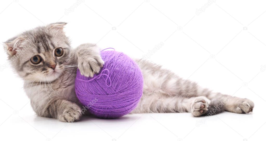 One striped kitten with a ball of yarn isolated on a white background.