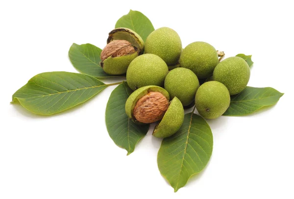 Zelené Ořechy Listy Izolované Bílém Pozadí — Stock fotografie