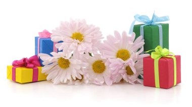 Papatya ve beyaz bir arka plan üzerinde izole hediyeler.