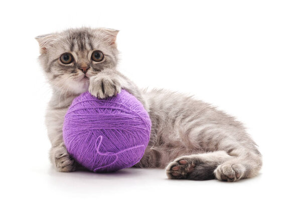 Kitten with a ball on a white background.