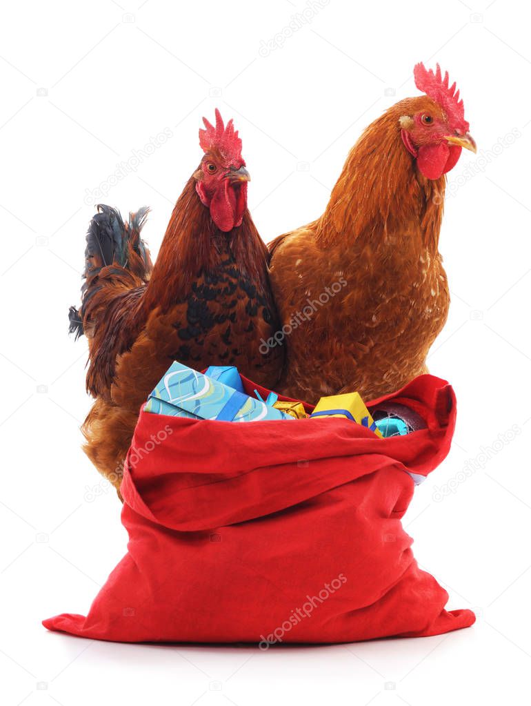 Red roosters and bag of gifts on a white background.