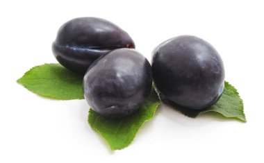 Beyaz arkaplanda izole edilmiş erik yapraklı erik grubu.