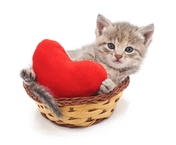 Chaton Dans Panier Avec Cœur Isolé Sur Fond Blanc — Photo