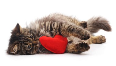 Kedi ve kırmızı kalp beyaz bir arkaplanda izole edilmiş..