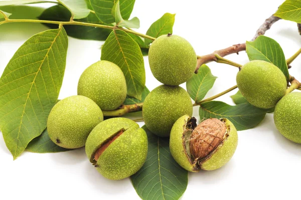 Groene Walnoten Met Bladeren Geïsoleerd Een Witte Achtergrond — Stockfoto