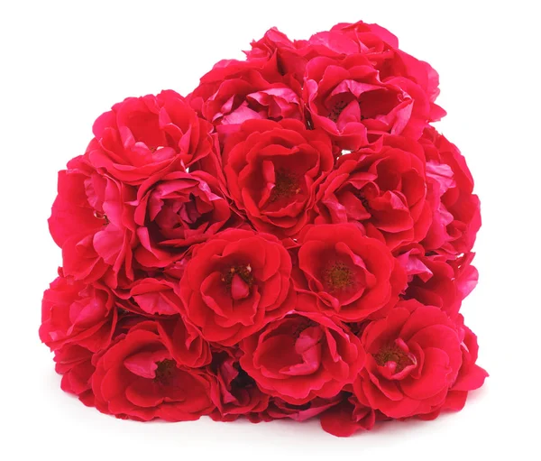Букет красных роз . — стоковое фото