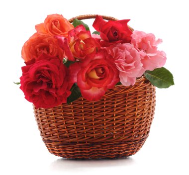 Sepette kırmızı güller.