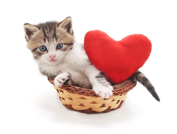 Kotek w koszu z sercem. — Zdjęcie stockowe