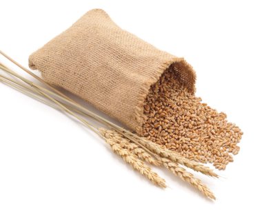 trigo e orelhasbuğday ve kulaklar.