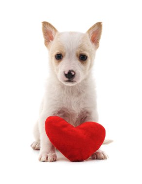 kalp ile köpek yavrusu.